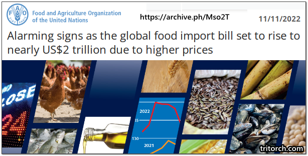 UN Food Import Bill Rises To Two Trillion November 2022
