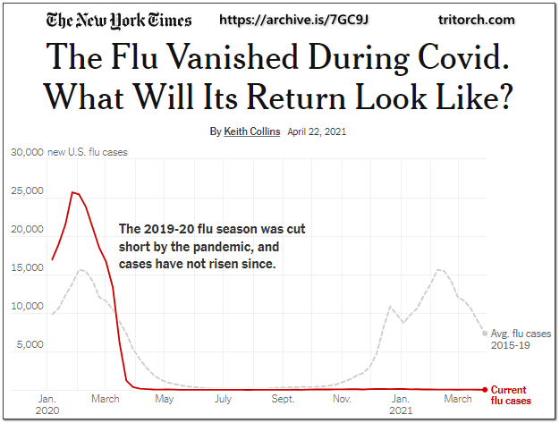 ny times the flu vanished during covid